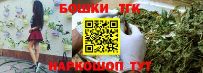 молекула духа Бердск