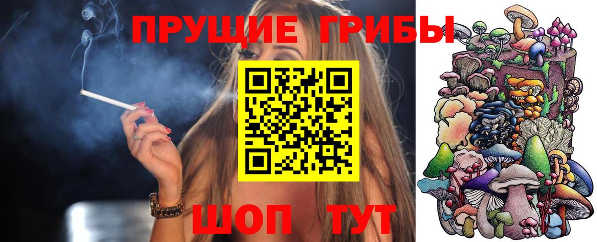 Приморско-Ахтарск  Галлюциногенные грибы Cubensis  закладка  Вход с VPN 