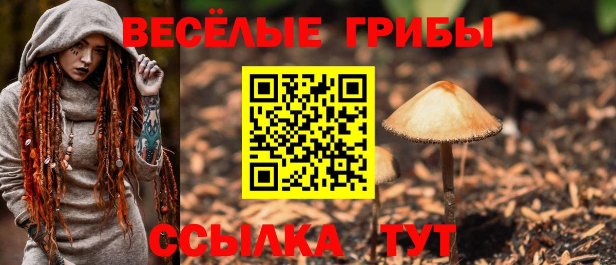 Псилоцибиновые грибы Psilocybe Приморско-Ахтарск