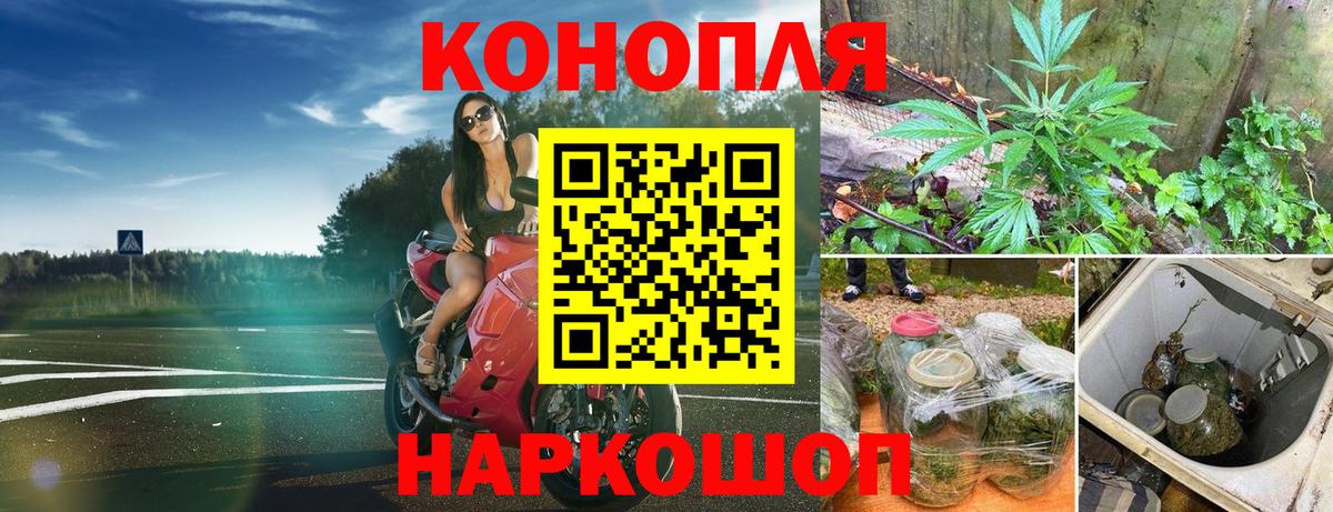 Конопля OG Kush  МАРИХУАНА конопля  Бошки Шишки семена  Вход с VPN  Приморско-Ахтарск 
